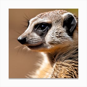 Meerkat Canvas Print