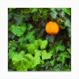 Orange And The Ivy Square Canvas Print