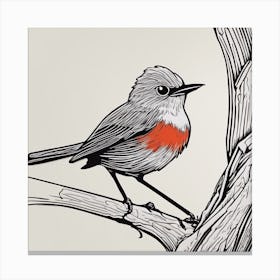 Red-Tailed Robin Canvas Print