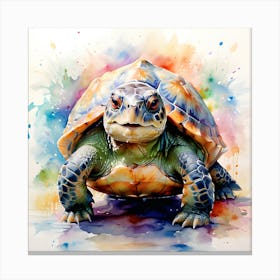 Turtle Canvas Print