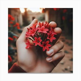 Red Flowers In A Hand Canvas Print