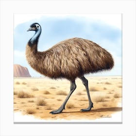 An Emu - Watercolour Canvas Print