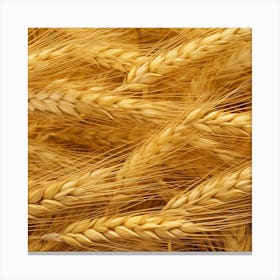 Golden Wheat 5 Canvas Print