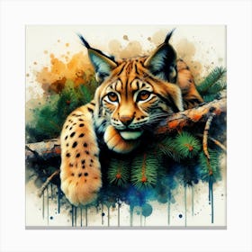 Lynx In The Shadow Canvas Print
