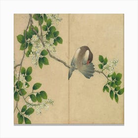 Pigeon On A Branch Canvas Print