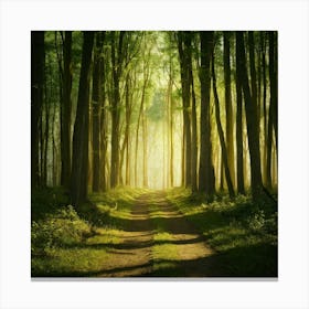 Path Through The Forest 9 Canvas Print