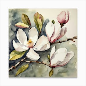 Magnolia Canvas Print