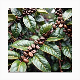 Coffee Beans On A Tree 8 Canvas Print