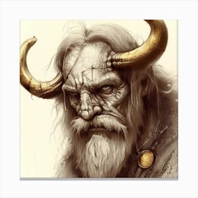 Viking 5 Canvas Print