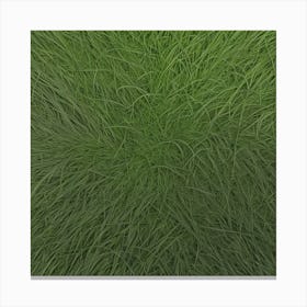 Grass Flat Surface For Background Use (87) Canvas Print