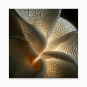 Lily Of The Valley 6 Canvas Print