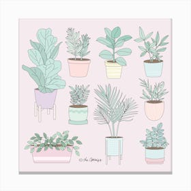 House Plants Guide Canvas Print