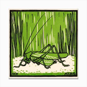 Grasshopper, Julie De Graag Canvas Print