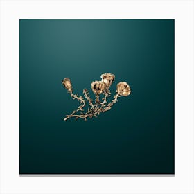 Gold Botanical Gillies Purslane Flower Branch on Dark Teal Canvas Print