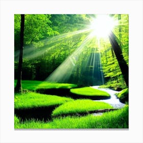 Rays Of Sunshine In The Forest Canvas Print