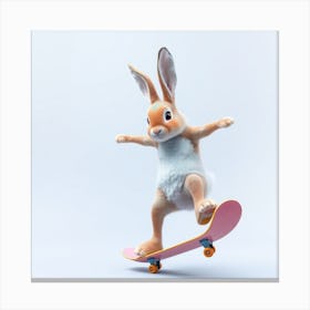 Rabbit On A Skateboard Canvas Print