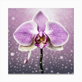 Orchid Flower Canvas Print