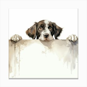 Springer Spaniel Canvas Print