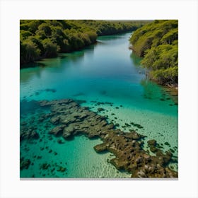 Iguazu River Canvas Print