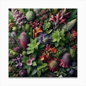 Medicinal herbs Canvas Print