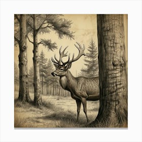 Deer In The Woods 17 Canvas Print