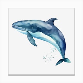 Dolphin Canvas Print