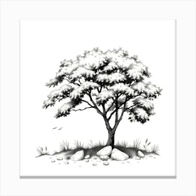 Tree In The Snow 3 Canvas Print