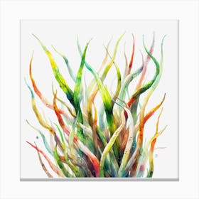 Watercolor Seaweed Canvas Print