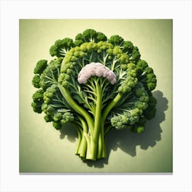 Broccoli 10 Canvas Print