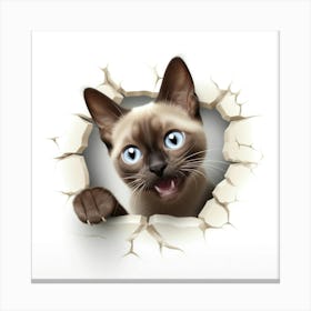 Siamese Cat 1 Canvas Print