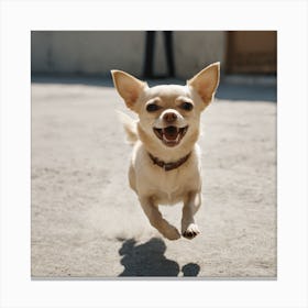 Chihuahua Running Canvas Print