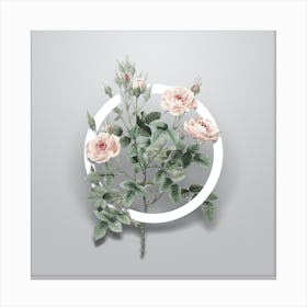 Vintage Rosier Pompon Minimalist Flower Geometric Circle on Soft Gray n.0505 Canvas Print
