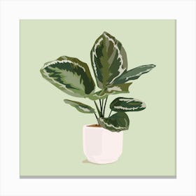 Plant In A Pot 7 Canvas Print