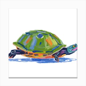 Painted Turtle 04 Canvas Print