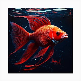 Red fish Canvas Print