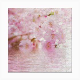 Cherry Blossoms 6 Canvas Print