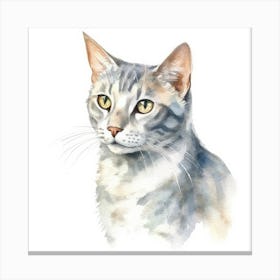 German Rex Cat Portrait Canvas Print