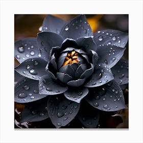 Lotus Flower 1 Canvas Print