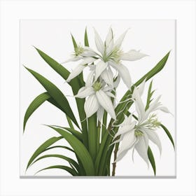 White Lily myluckycharm Canvas Print