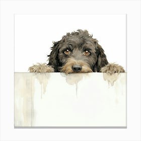 Spanish Water Dog 3 Canvas Print