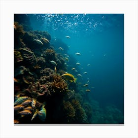 Great Barrier reef 13 Canvas Print