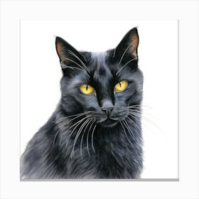 California Spangled Black Cat Portrait 2 Canvas Print