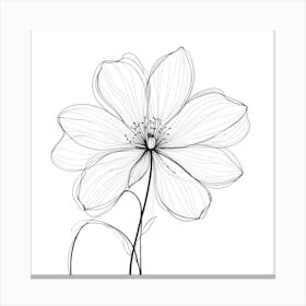 Flower Drawing 1 Canvas Print