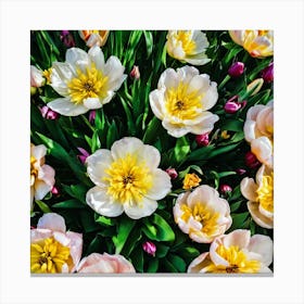 Tulips In The Garden Canvas Print