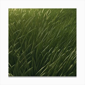 Grassy Field 1 Canvas Print