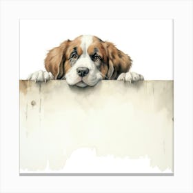 St Bernard Dog 4 Canvas Print