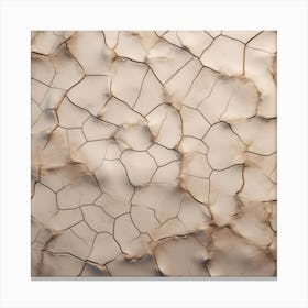 Cracked Wall Canvas Print