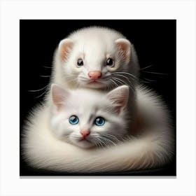 Ferrets 1 Canvas Print