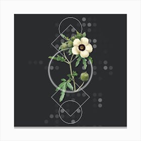 Vintage Venice Mallow Botanical with Geometric Line Motif and Dot Pattern n.0391 Canvas Print