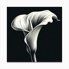 Calla flower 3 Canvas Print